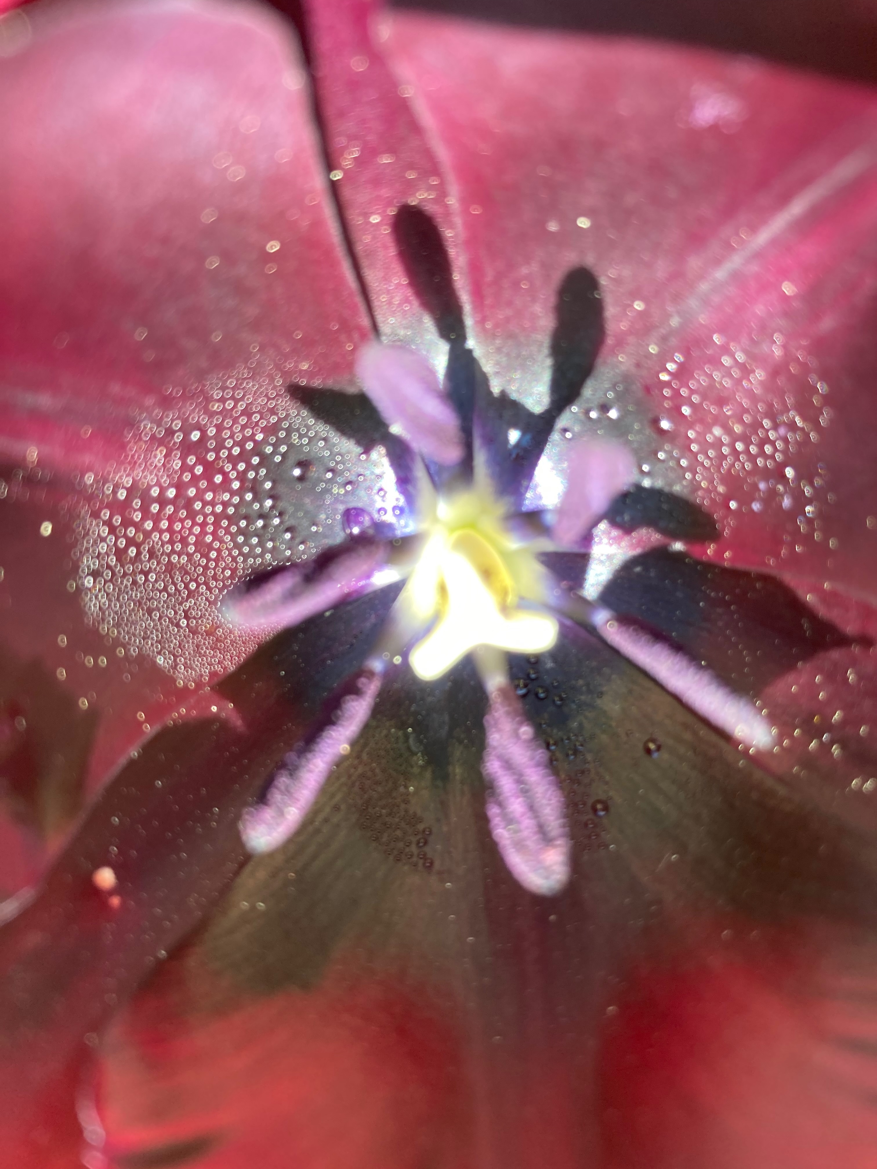 Verdichtet zum Wesentlichen