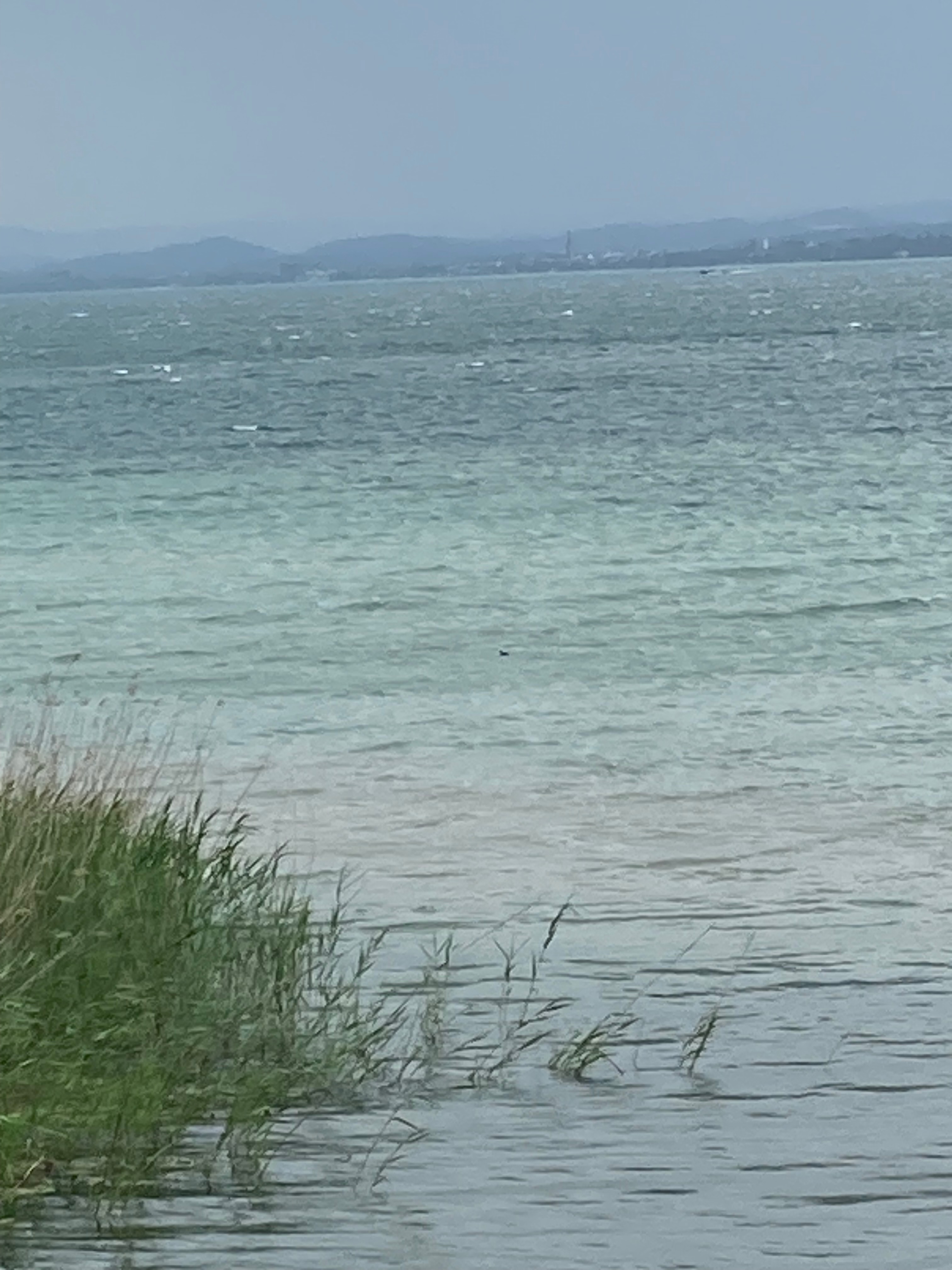 Wortwelten - Schreiben am See